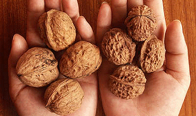 Орехи при бесплодии