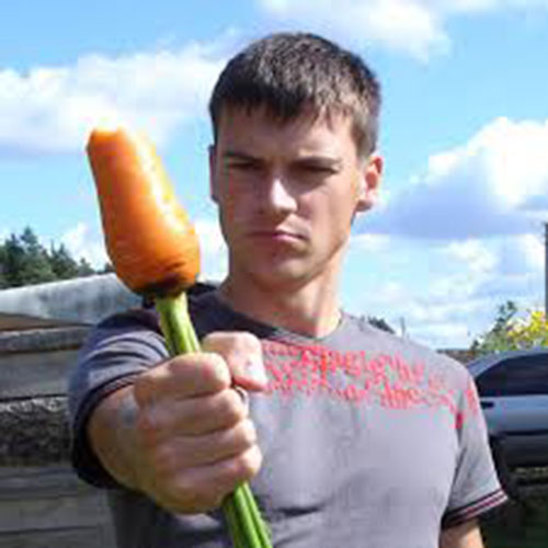 Морковь повышает мужскую плодовитость