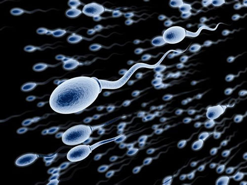 Искусственная сперма. Миф или реальность